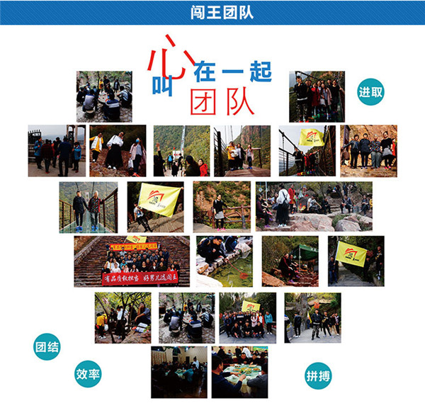 1741158006147694.jpg 團(tuán)隊(duì).jpg